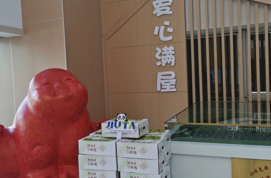 1877cc彩票网爱心月捐赠活动