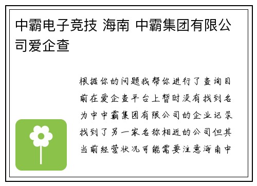 中霸电子竞技 海南 中霸集团有限公司爱企查